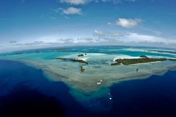 Watch Why Blue Corner Palau is The Best Dive Site in Palau