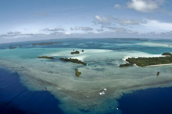 Palau Blue Corner one of the Best Dive Spots In The World
