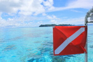 Palau Diving Crystal Clear Warm Water