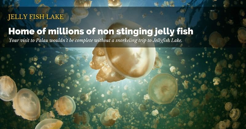 Jelly fish lake