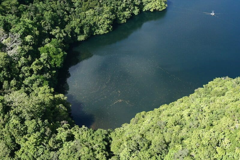 jellyfish lake in palau