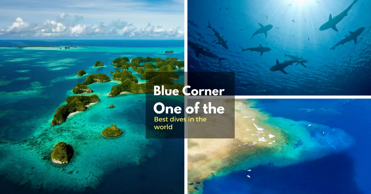 Blue corner Palau