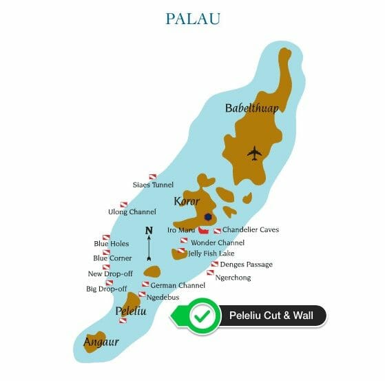Peleliu Cut Palau