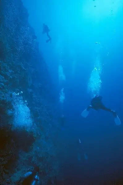 scuba dive Peleliu Wall