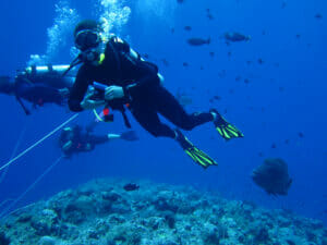 reef-hook-palau