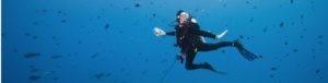"Reef Hook Diving"