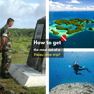 6 divers’ inside tips on how to get the most out of a dive trip to Palau
