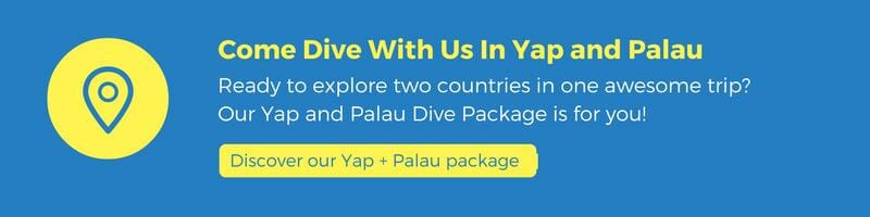 discover our yap and palau dive package