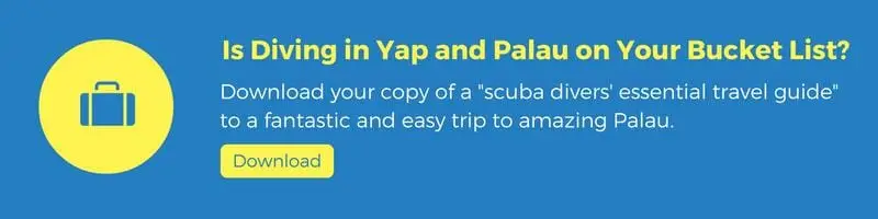 download travel guide