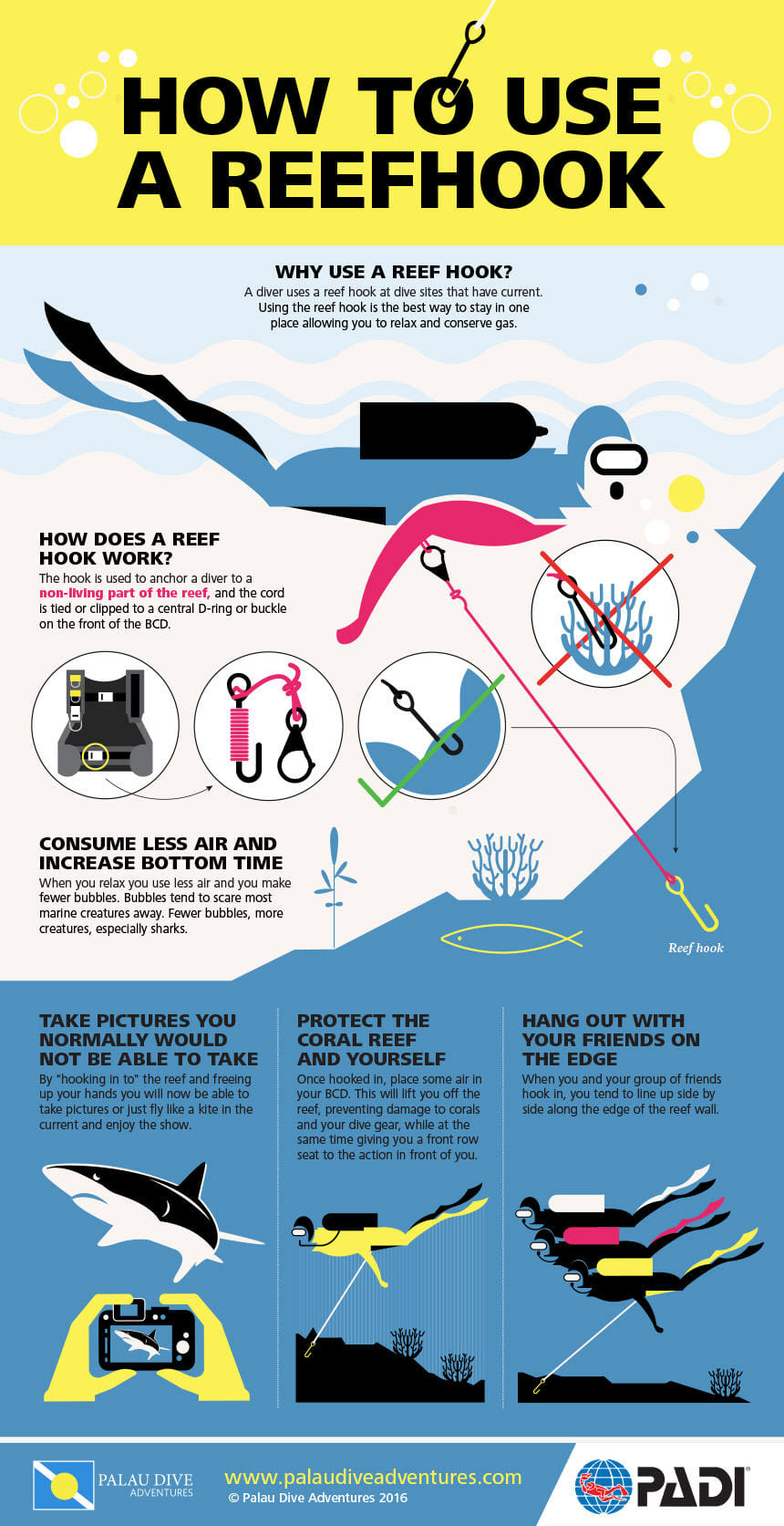 reef hook infographic