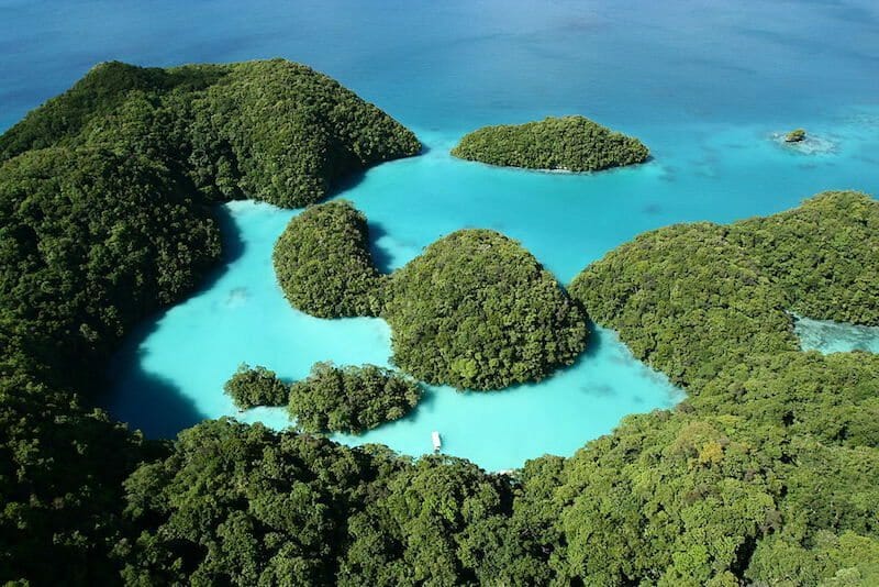 Milky Way Lagoon in Palau