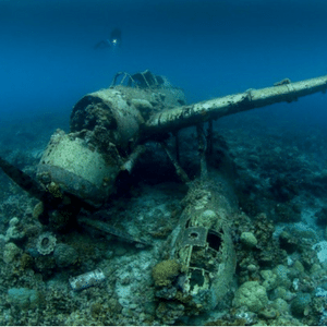 Wreck Diving Palau: 6 Amazing WWII Wrecks in Palau You Should Dive