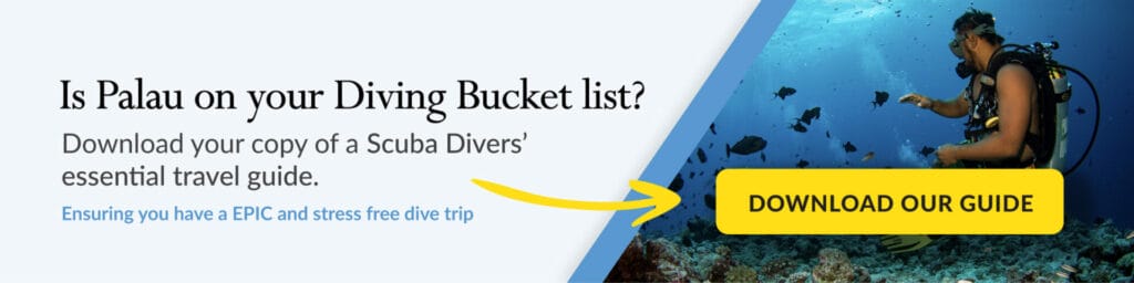 download palau travel guide