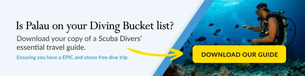 download palau travel guide