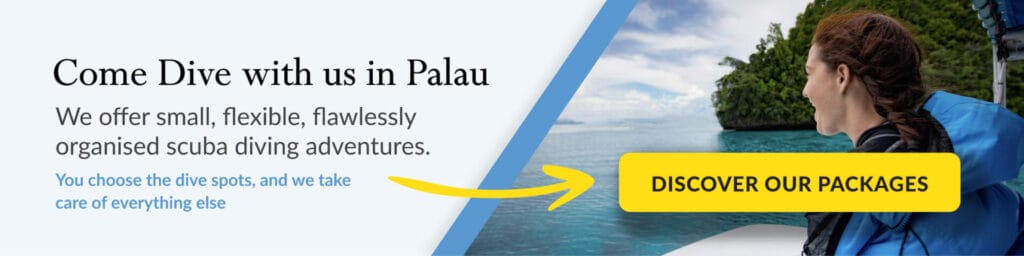 Contact Palau dive adventures reservatioms