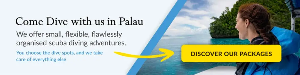 Contact Palau dive adventures reservatioms