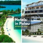 Hotels in Palau