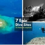 dive site palau
