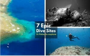 dive site palau
