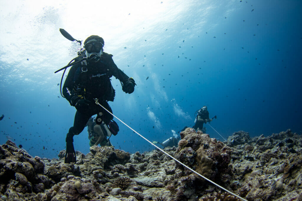 We Offer Small, Flexible Flawlessly Organized Dive Adventures In Palau!