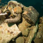 helmet wreck palau
