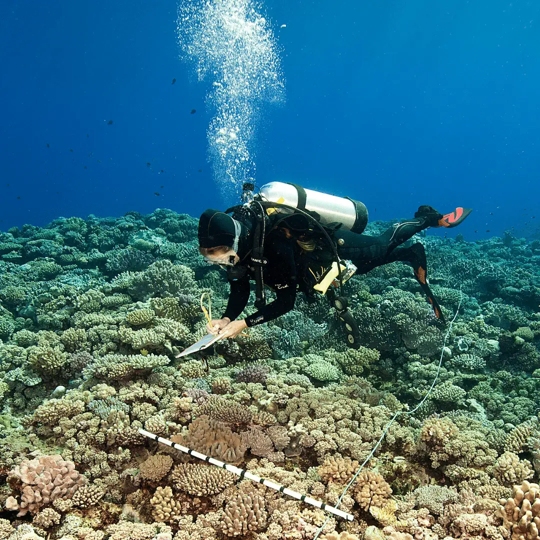 Citizen Science palau