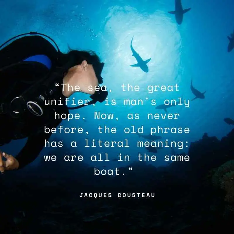 Marine Citizen Science
