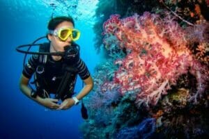 Dive Palau With The Best Palau Dive Shop | Palau Dive Adventures