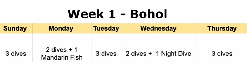 bohol dive schedule combo dive trip