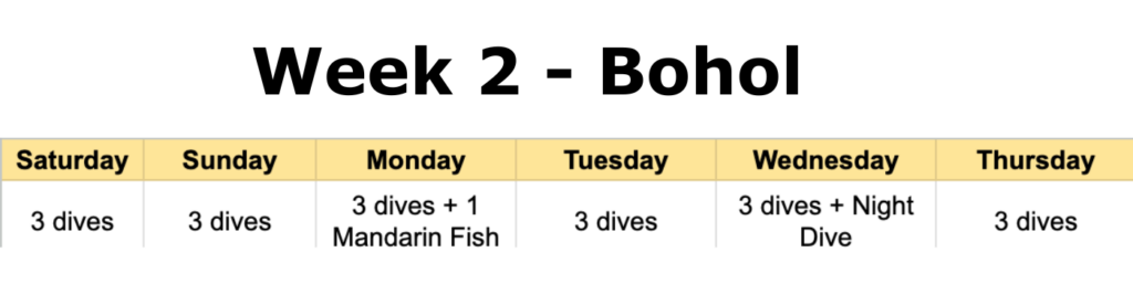 bohol dive schedule